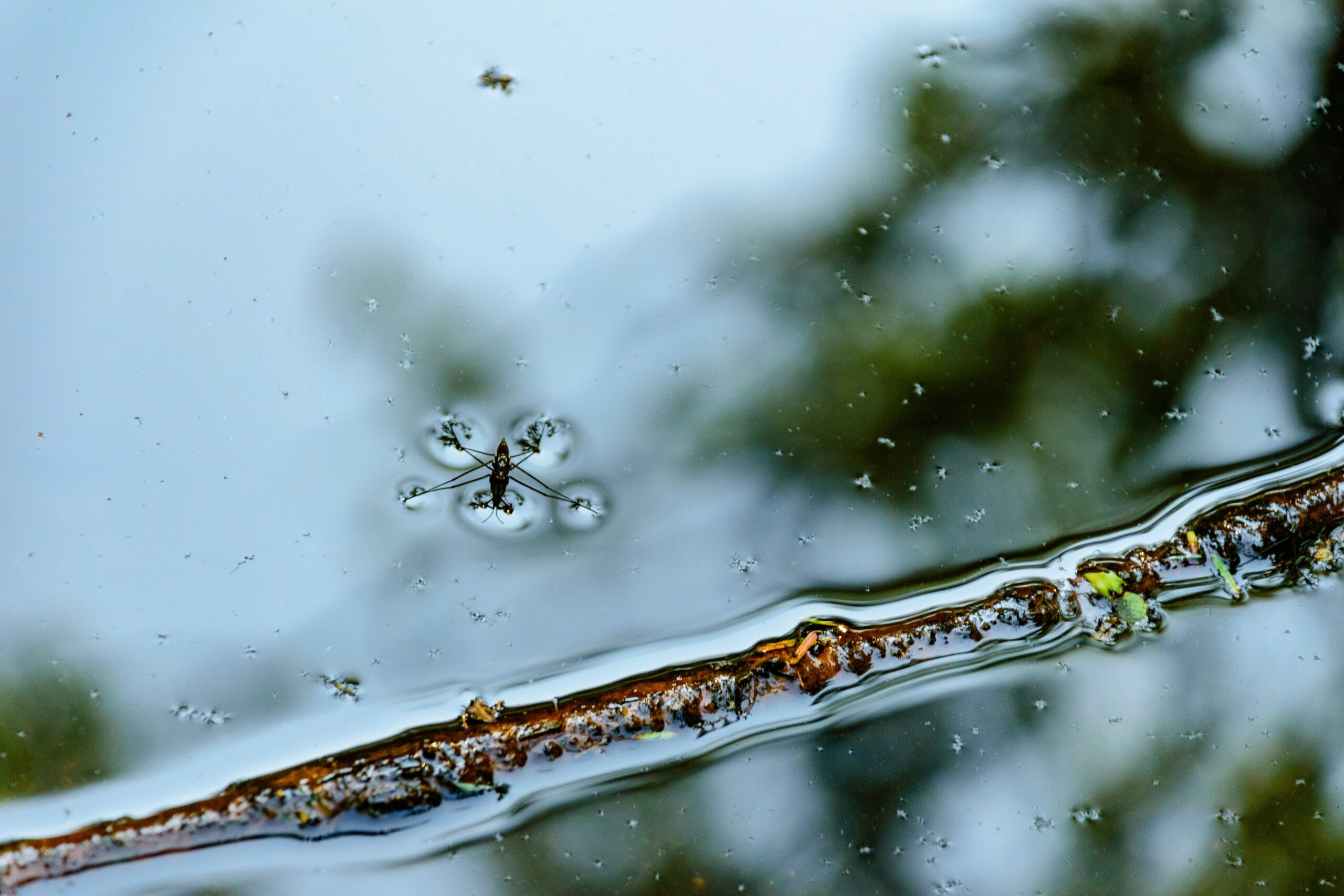 christopher-paul-high-FwpaaMcpUW0-unsplash